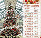 Large Outdoor Christmas Tree