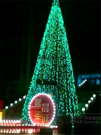 Luminous Large Christmas Tree